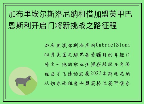 加布里埃尔斯洛尼纳租借加盟英甲巴恩斯利开启门将新挑战之路征程 加布里埃尔斯洛尼纳租借加盟英甲巴恩斯利开启门将新挑战之路征程