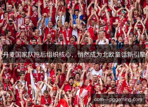 丹麦国家队拖后组织核心,悄然成为北欧童话新引擎 丹麦国家队拖后组织核心,悄然成为北欧童话新引擎