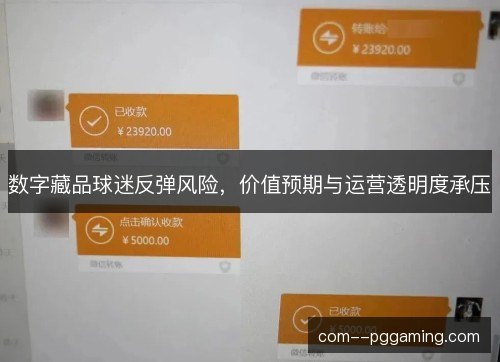 数字藏品球迷反弹风险，价值预期与运营透明度承压